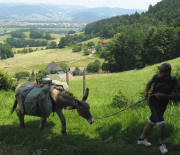 Blick nach Norden �ber den Dobelpeterhof ins Dreisamtal am 23.6.2008