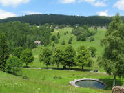 Blick von R�tte nach Westen hoch zu Prestenberg am 19.6.2008