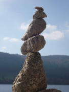 Wiedehopf aus Stein am Schluchsee - Bild Clara Weise-Wagner