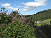 Blick  nach Osten am 5.8.2008 - von der Erlenbacher H�tte kommend - zur Stollenbacher H�tte 