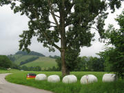 Blick nach S�dosten ins Weilersbach bei Oberried am 8.6.2008 - Siloballen