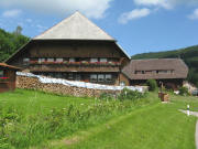 Blick nach Nordwesten in Todtmoos-Weg am 19.6.2008