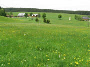 Blick  nach Norden zum B�renhof links in Hinterschollach am 26.5.2008