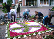 Blumenteppich Kirchzarten Mai 2008 - Bild Monika Rombach