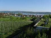 Blick vom Hochwart nach Nordwesten am 5.5.2008 �ber Mittelzell zum Gnadensee