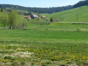 Blick nach Nordosten zum Waidbachhof im Schnattertal am 11.5.2008