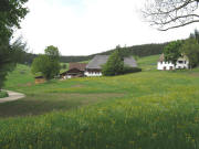 Blick nach Nordwesten zum �hlerhof im Rengental am 26.5.2008