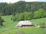 Tele-Blick von Kirnersh�usle am 14.5.2008 �ber L�wenzahn nach Westen zum Schlegelhof