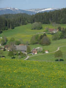 Tele-Blick nach S�dwesten �ber den Neubauernhof und Felsenhof (rechts) zum feldberg am 13.5.2008