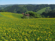 Blick nach Norden �ber Rufenh�usle und Schweigbrunnen am 11.5.2008