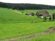 Blick nach S�dwesten zum Kleiserhof am 26.5.2008 - immer noch bl�ht der L�wenzahn