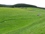 Blick nach S�den �ber L�wenzahn zum Winterh�usle am 26.5.2008