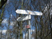 Blick nach Norden zum Wegweiser "Schelinger Viehweide 439 m" am 29.3.2008