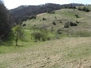 Schelinger Viehweide am 29.3.2008: Blick nach Südwesten zum Hof im Hessental