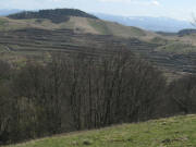 Schelinger Viehweide am 29.3.2008: Blick nach S�dosten �ber den Badberg zum Eichelspitzturm - Feldberg links und Belchen rechts 