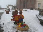Das Feuer der Osterschw�mme St.Peter ist abgebrannt - 23.3.2008 um 16 Uhr