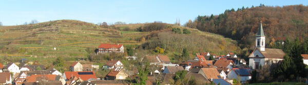 Blick nach Osten auf Amoltern und die Amolterer Heide (oben weiter hinten) am 15.11.2008