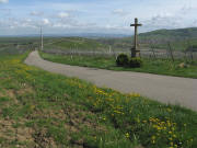 Blick nach Norden am Steinhauer-Kreuz Batzenberg am 1. Mai 2008