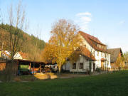 Blick nach Nordosten zum Schw�rzlehof am 14.11.2008