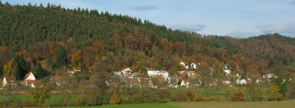 Blick vom Neubaugebiet beim St.Annakreuz nach Norden zur Steinhalde in Ebnet am 10.11.2008