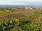 Blick von Gausbergh�tte am 15.11.2008 nach Westen auf K�nigschaffhausen 