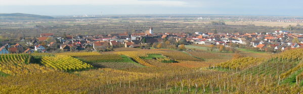 Blick nach Nordwesten �ber K�nigschaffhausen am 15.11.2008 - rechts Wyhl, links der Limberg