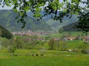 ele-Blick vom Wasserschlo� am Saubergweg am 3.5.2008 nach Norden �ber Siensbach auf Gutach