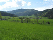 Obstb�ume beim Klausenhof zwischen Siensbach und Riedern am 3.5.208