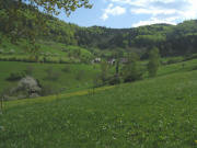 Blick nach Nordosten hoch zum Oberen Adamshof am 3.5.2008