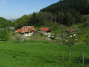 Blick nach Norden vom Reschhof zum Bürliadamshof am 3.5.2008