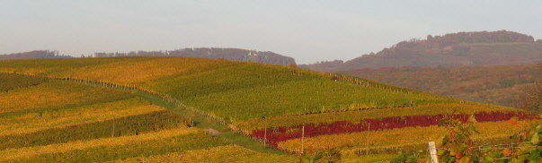 Tele-Blick nach Osten �ber den Batzenberg zum Sch�nberg am 19.10.2008 - Mitte Ruine Schneeburg