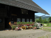 Blick nach Westen zum Birnkenmaiershof am 24.8.2008