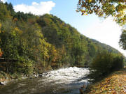 Blick nach Osten �stlich Ottiliensteg an der Dreisam: Fischtreppe rechts am 17.10.2008