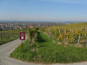 Blick nach Nordwesten auf Haltingen am 18.10.2008 am Abzweig Weiler Weg - Tüllinger Weg