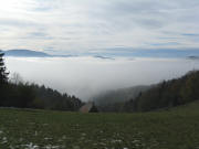 Blick nach S�dwesten �ber den Langeckhof ins Dreisamtal am 1.11.2008 um 14 Uhr
