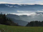 Tele-Blick �ber den Langeckhof nach S�den zum Feldberg am 1.11.2008 um 14 Uhr