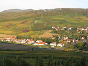 Blick vom Batzenberg nach Osten �bers Schneckental auf �hlingsweiler zum �u�eren Berg am 19.10.2008