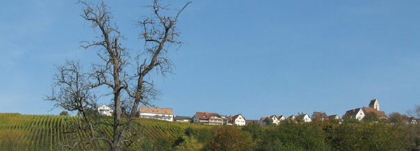 Blick von Haltingen nach Nordosten hoch zu �tlingen am 18.10.2008