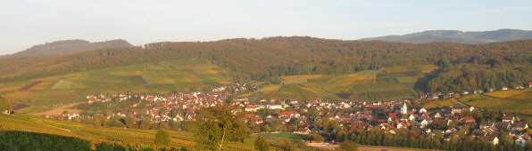 Blick nach Nordost vom Batzenberg auf Pfaffenweiler im Schneckental am 19.10.08 - Sch�nberg links, Schauinsland rechts
