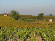 Im Tuniberg zwischen Merdingen und Waltershofen am 25.10.2008 - Blick nach Norden