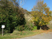 Am S�dende des Tunibergs oberhalb Munzingen am 25.10.2008