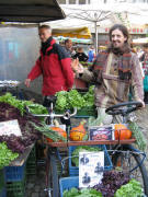 Gemüse-Velo von Jens am Kiener-Stand - 20.9.2008 am Münstermarkt