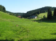 Blick vom Winterhalderhof nach S�den  zum Hochbauernhof und Skihang Stollenwald am 25.8.2008