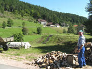Blick nach Norden vom Ketterer-Hof zur Sommerseite im Haslachtal  am 9.9.2008