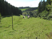 Blick nach Westen am 13.8.2008 �ber Kohltal und Kohlh�usleweg gen G�tenbach
