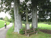 Wegekreuz bei "Schweigh�fe" am Abzweig Pf�ndlerhansen und Weberh�usle am 7.9.2008 - Blick nach Westen