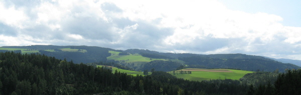 Blick von den Schweigh�fen nach S�den am 7.9.2008 �ber "Auf der Spirzen" zum Freyel und Fahrenberg (oben links)