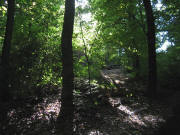 Blick nach S�dwesten zum schlafenden Riesen am 26.9.2008