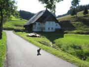 Blick nach Westen zum Winterhalderhof am 25.8.2008