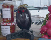 Aubergine mit Johannisbeeraugen am 24.8.2009 auf dem M�nstermarkt 